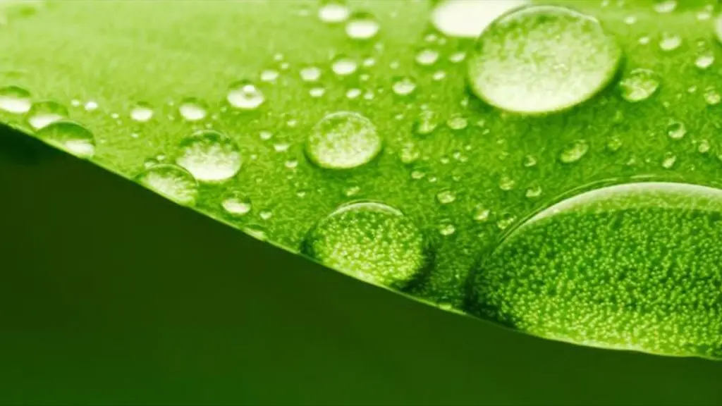 NaturaOnline (Tienda de cosmetica natural)
