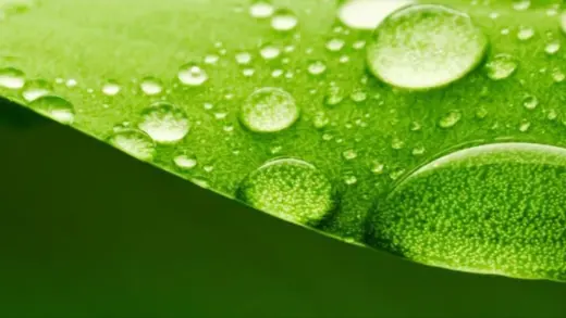 NaturaOnline (Tienda de cosmetica natural)