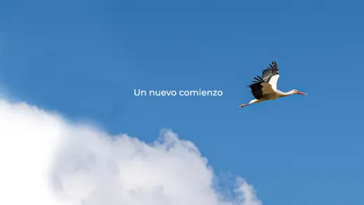 Mudanzas Alfa