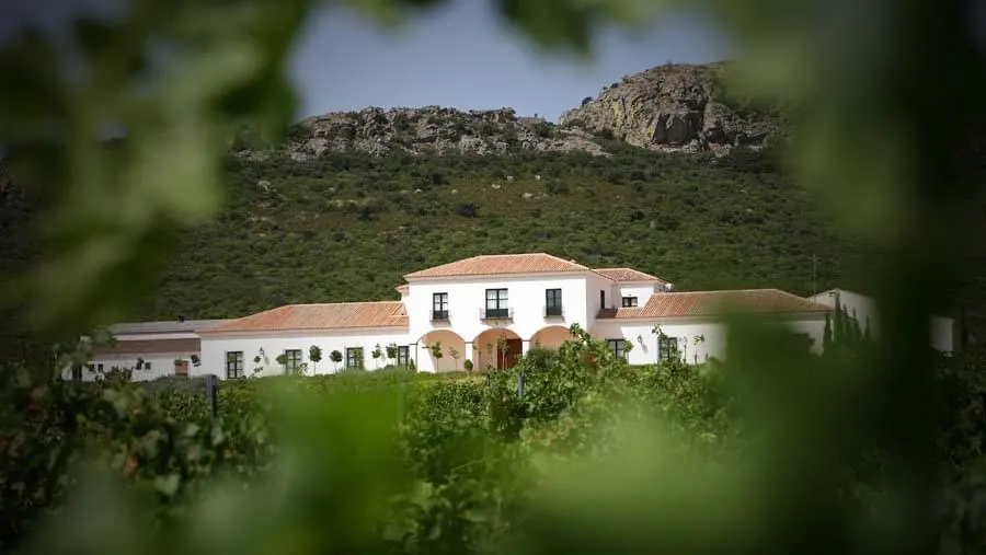 BODEGA VALDEALTO