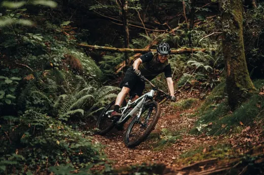 Basoa Bike Shop