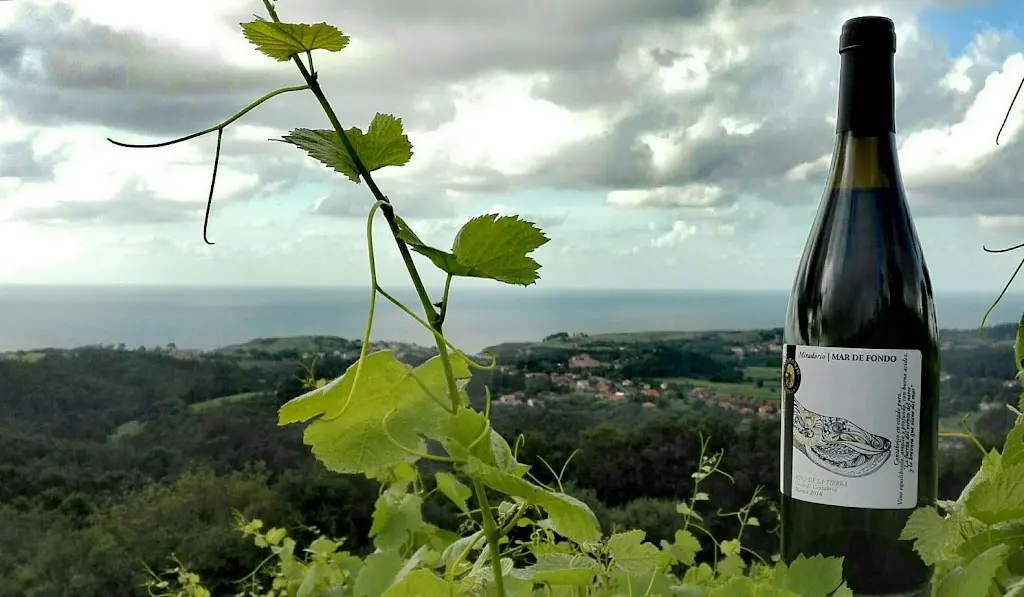 Bodegas y Vinedos Miradorio de Ruiloba
