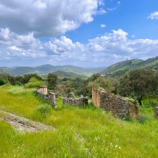 Venta de Fincas en Extremadura MULTIFINCAS