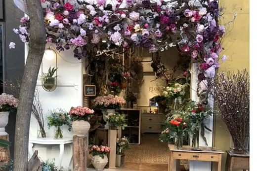 floristerialkyt