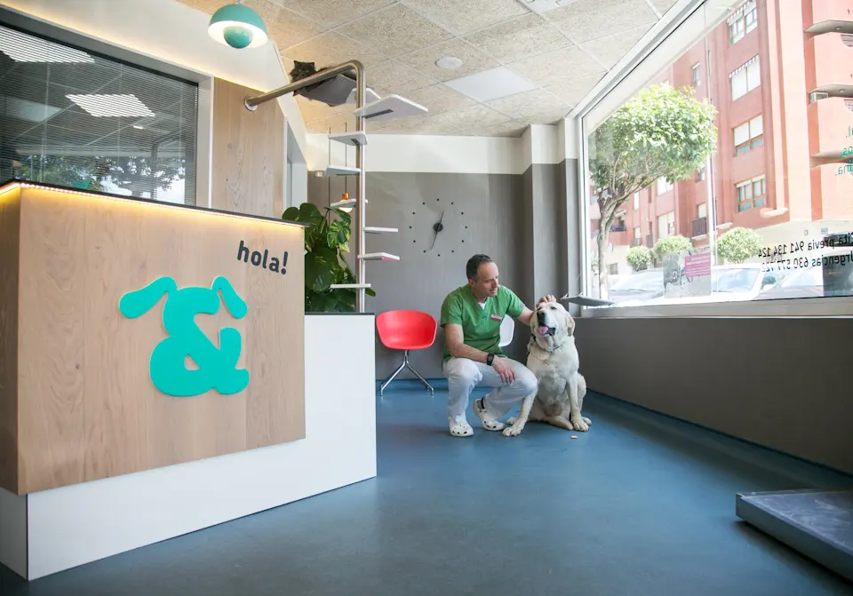 VETERINARY CLINIC Ruiz y Menta