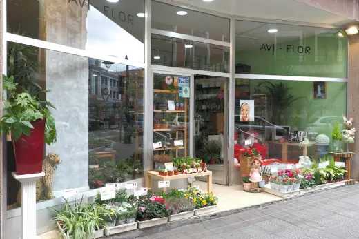 FLORISTERIA AVI-FLOR Bilbao