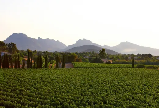 Bodegas Can Vidalet
