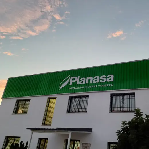 PLANASA: Centro I+D