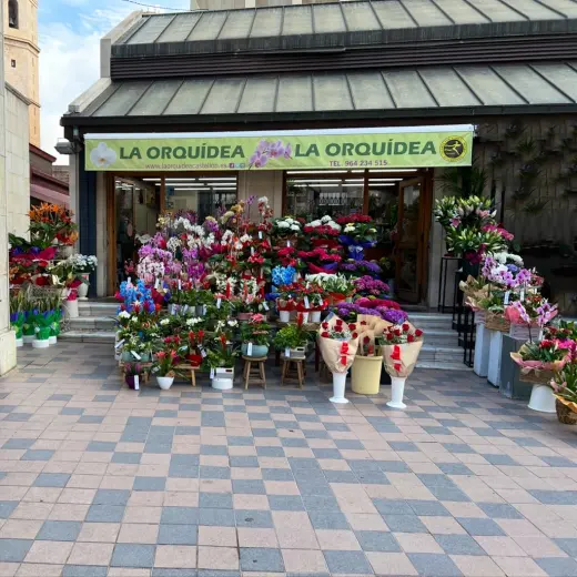 Floristeria La Orquidea Castellon