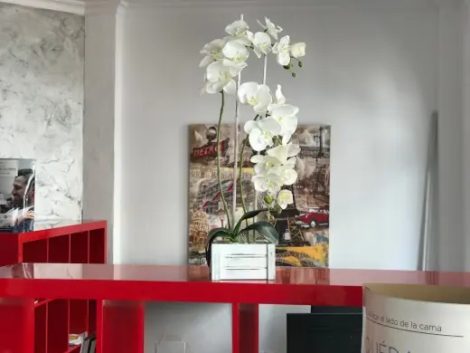 Gestion Inmobiliaria Juan Pimentel