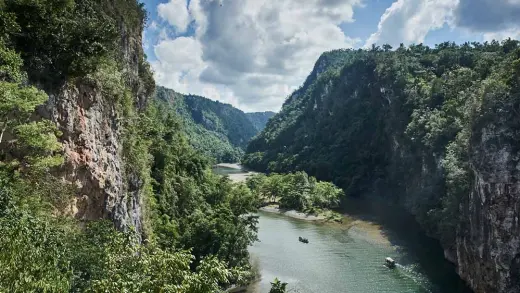 Wild Cuba Travel