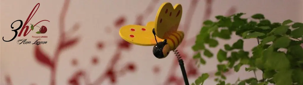 Peluqueria 3h Ana Lozano