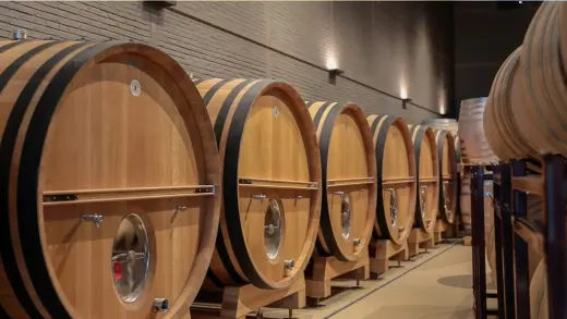Bodegas Emilio Moro - Bierzo S.L.