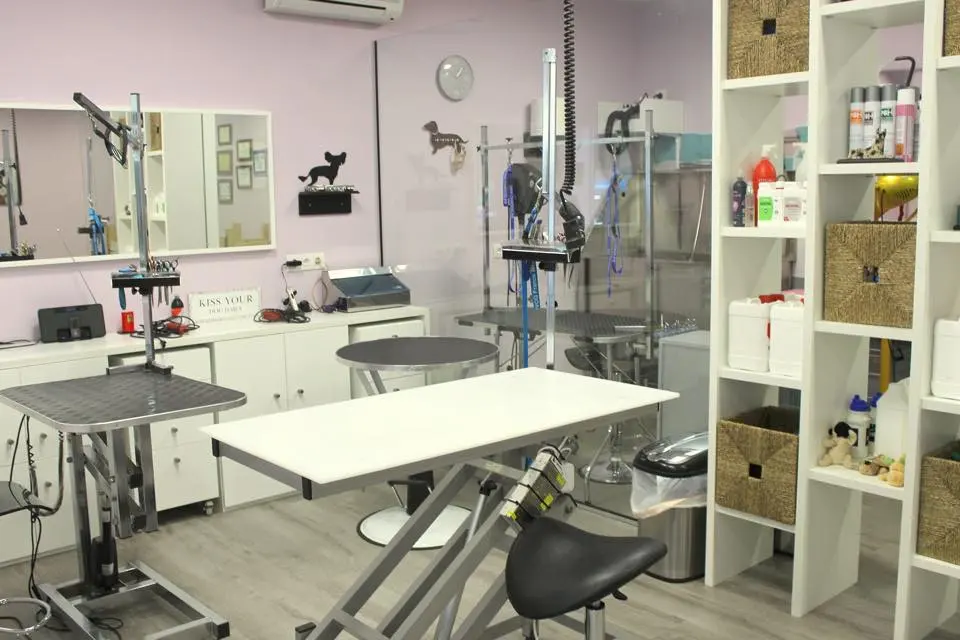 Peluqueria Canina y Escuela de peluqueria PLUCKING en Santander