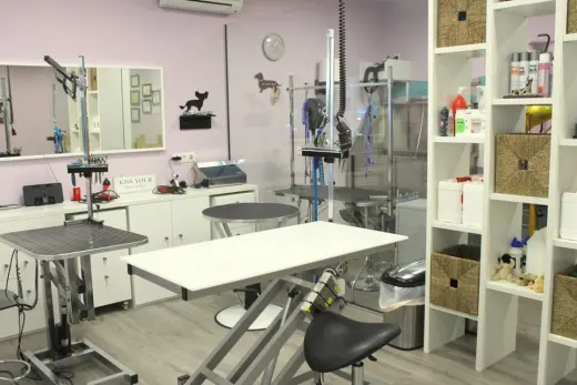 Peluqueria Canina y Escuela de peluqueria PLUCKING en Santander