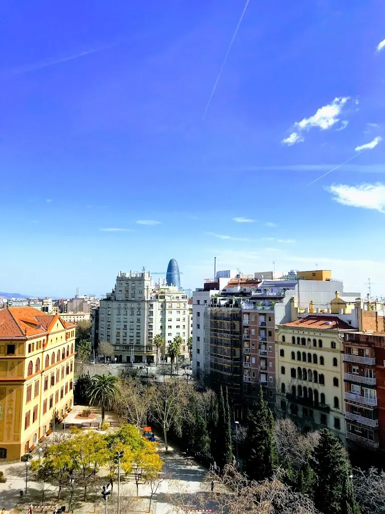 The Limon Agency | Agencia de Marketing Digital | Barcelona