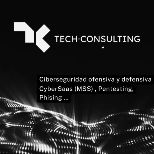 Tech-Consulting | Ciberseguridad e Informatica