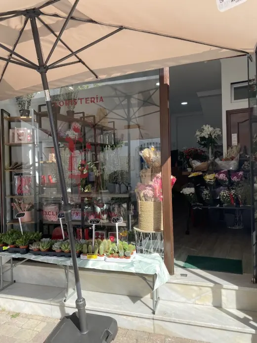 Floristeria Petalos Experience