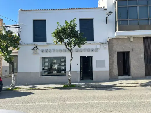 Gestiones Mavesa