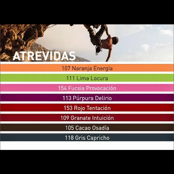 Ferreteria Velez Alfonso