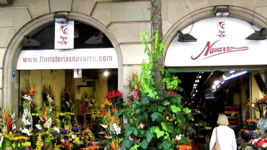 Flores Navarro