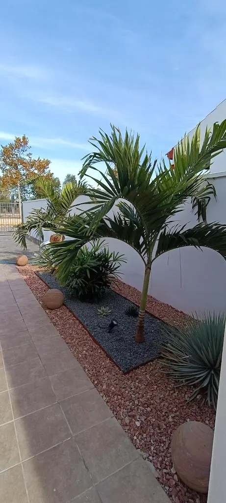 El Buho Verde