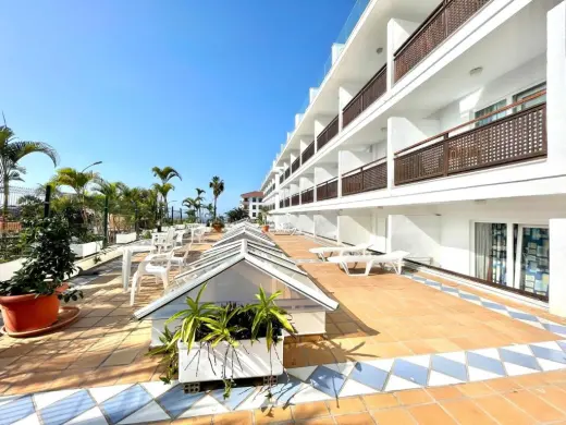 Apartamentos Pez Azul