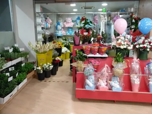 Floristeria Macarena