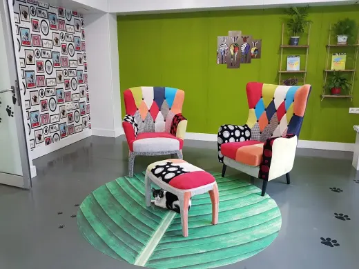 La Clinica del Estadio - Centro Veterinario