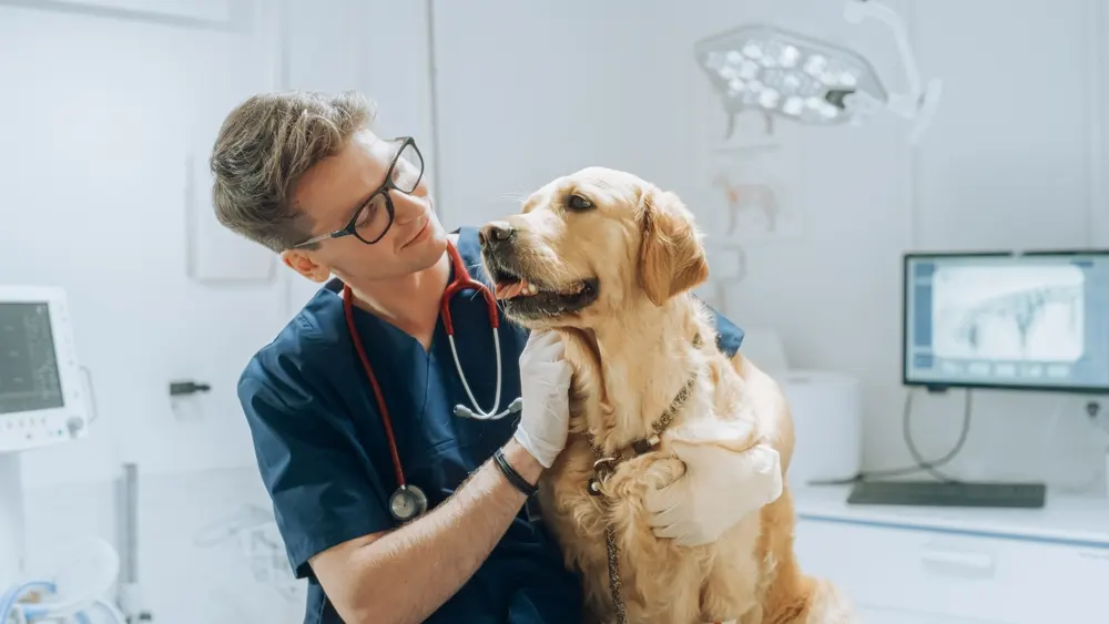 Centro Veterinario Talisman de Plata