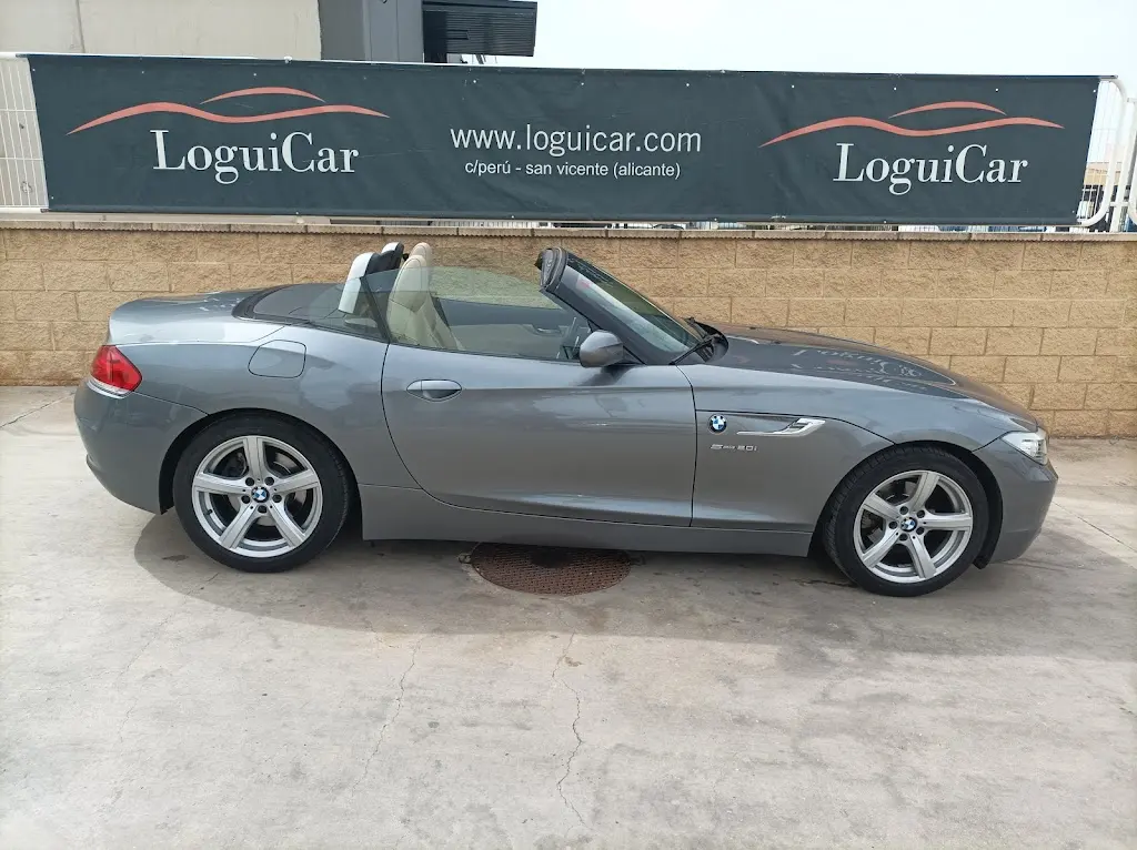 Loguicar Alicante