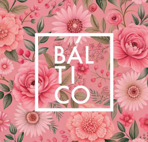 Baltico Estudio