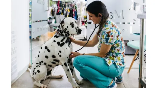 MAVET Centro Veterinario