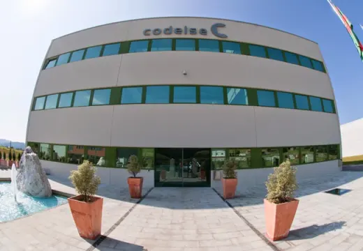 Grupo Codelse