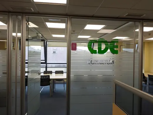 CDE Consultoria