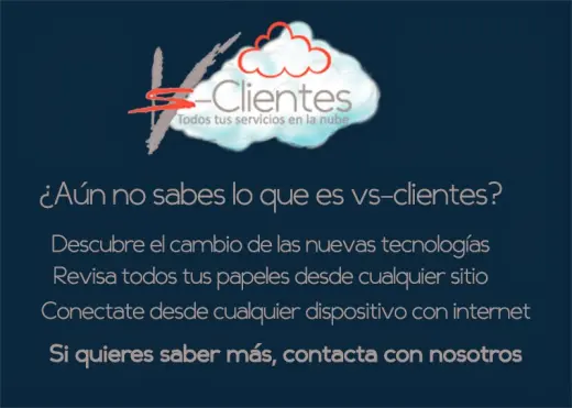 V.S. Servicios Empresariales S.L.