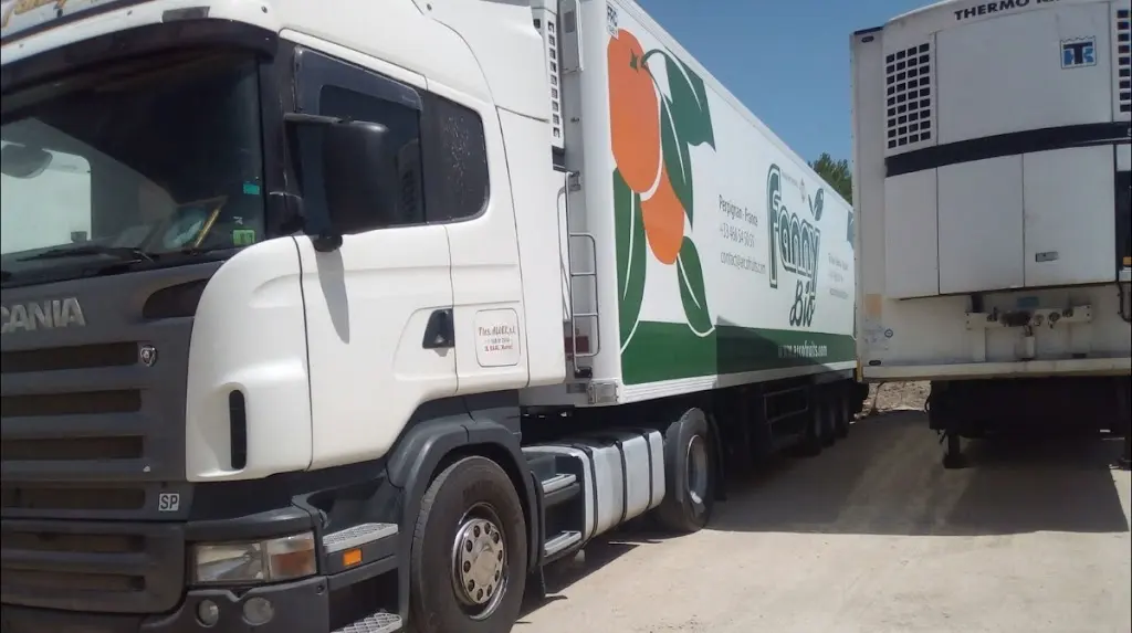 Trasportes Aloex