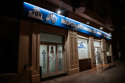 24 Hours Veterinary Hospital Animal SOS Malaga