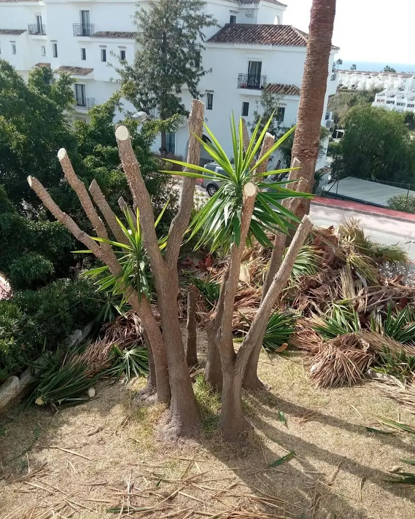 Mantenimiento de Jardines
