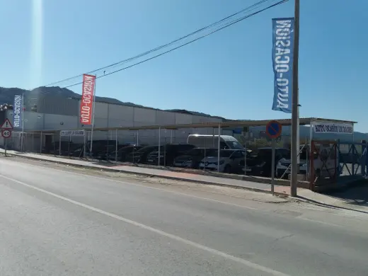 Autoocasion Los Dolores