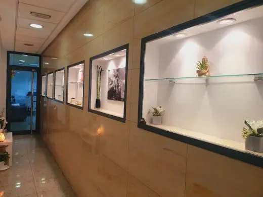 Bliss and Coo - Microblading and Lashes en Madrid