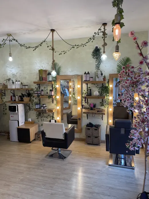 Salon Vitrine