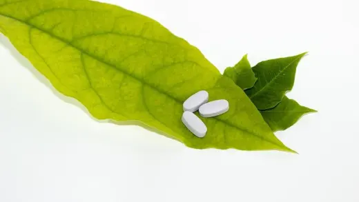 Farmacia Lourdes Cortes