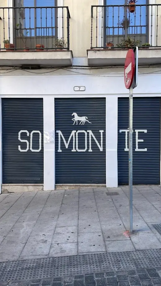 Somonte painting studio