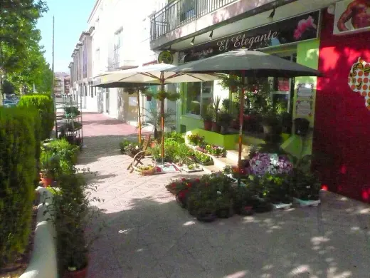 Floristeria El Elegante