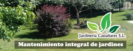 Jardineria Castanares