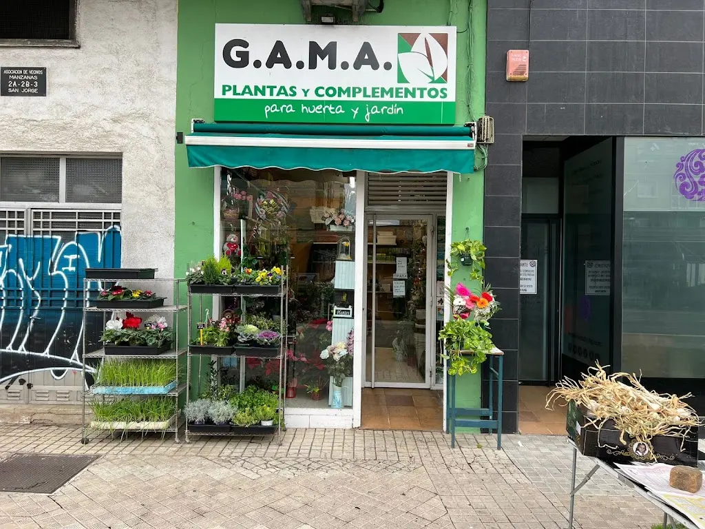 Floristeria Gama