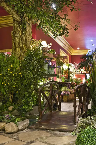 Floristeria El Arbol