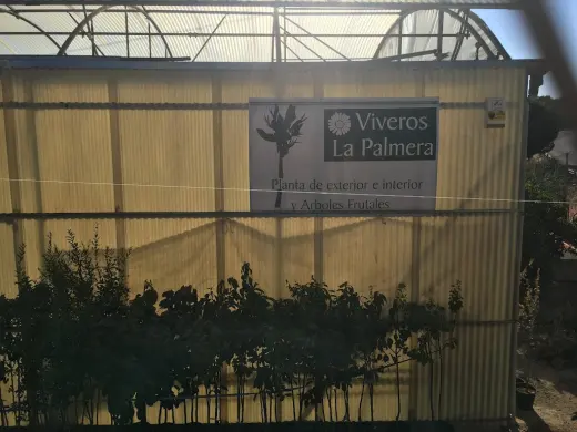Vivero La Palmera