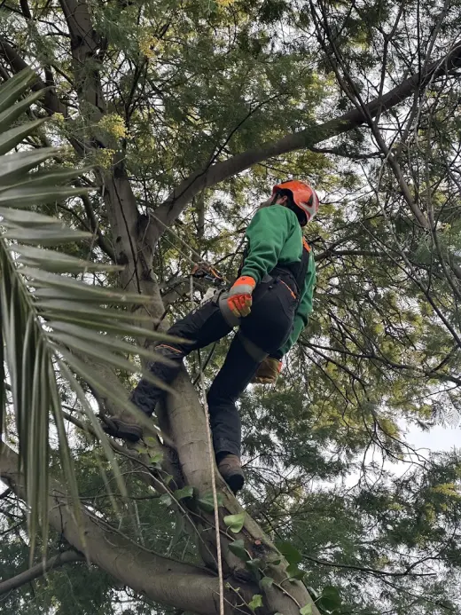 La Tierra Jardineria
